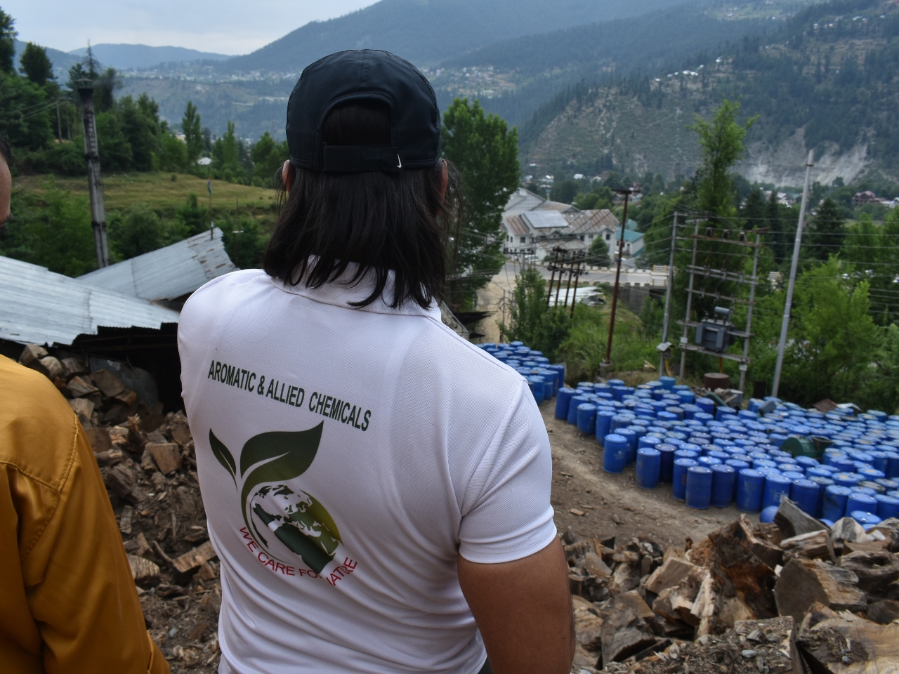 Himalayan Cedarwood Oil – 2024