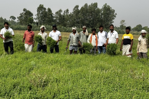 Our Director Mr. Gaurav Mittal in International News for Revolutionizing India's Essential Oil Industry