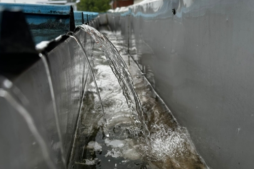  Harvesting Rainwater: A Sustainable Solution for a Greener Future
