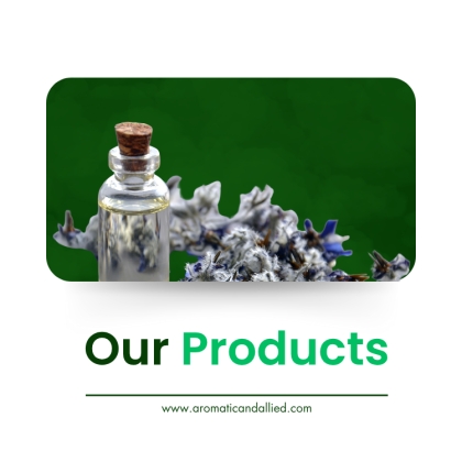Our Products