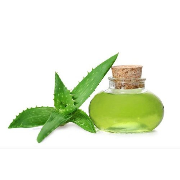 Aloe vera oil