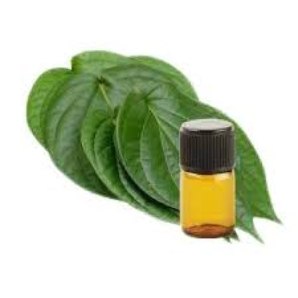 Betel Leaf Oil