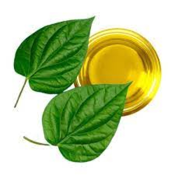 Betel Leaf Oil