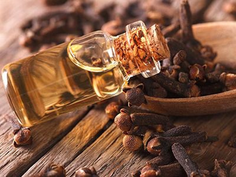Clove Bud Oil