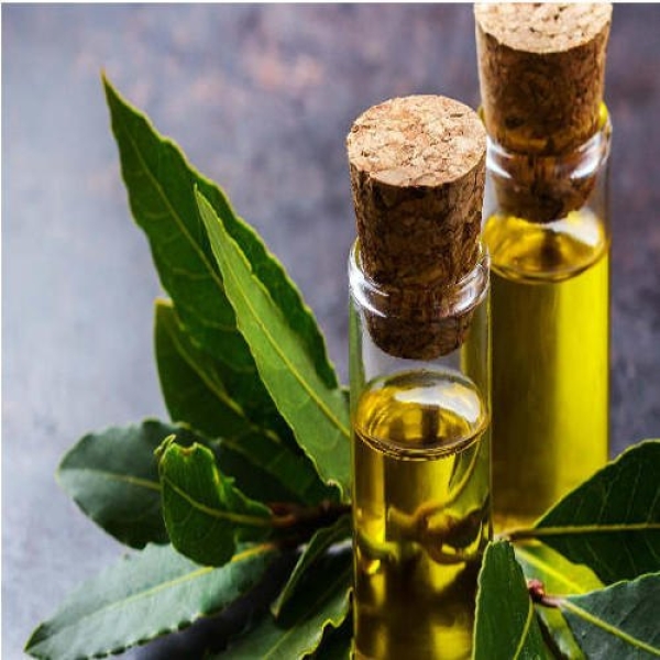 Curry Leaf Oil