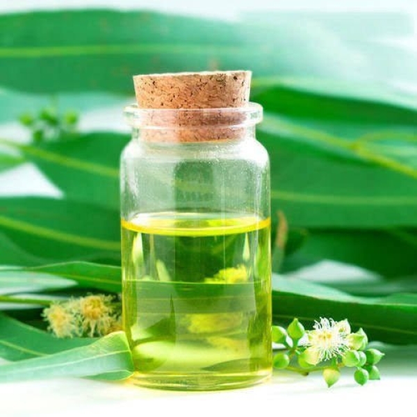 Eucalyptus Oil ( Globulus)