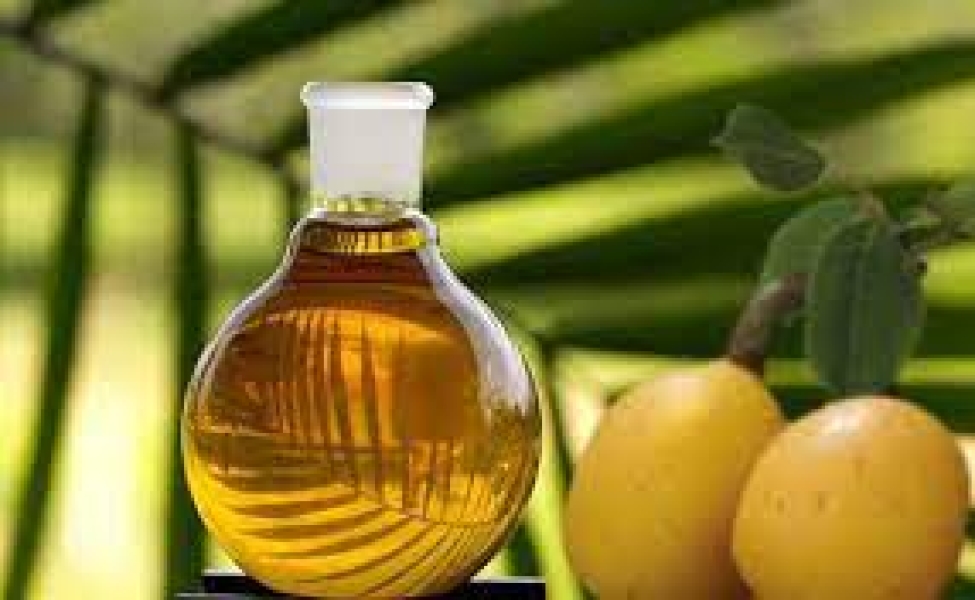 Marula oil