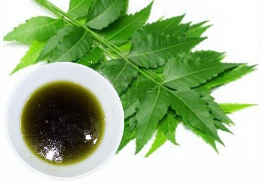 Neem oil