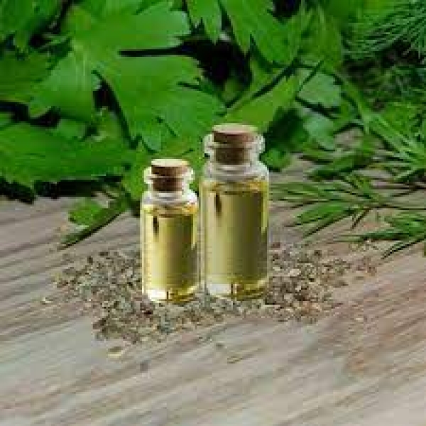 Parsley Seed Oil
