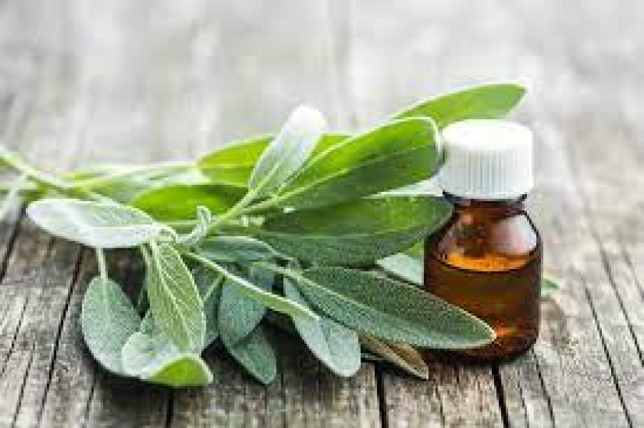 Sage Oil
