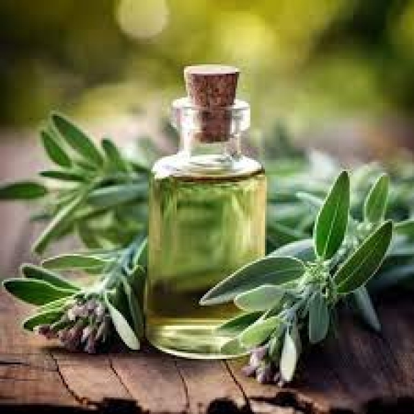 Sage Oil