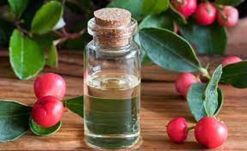 Wintergreen Oil