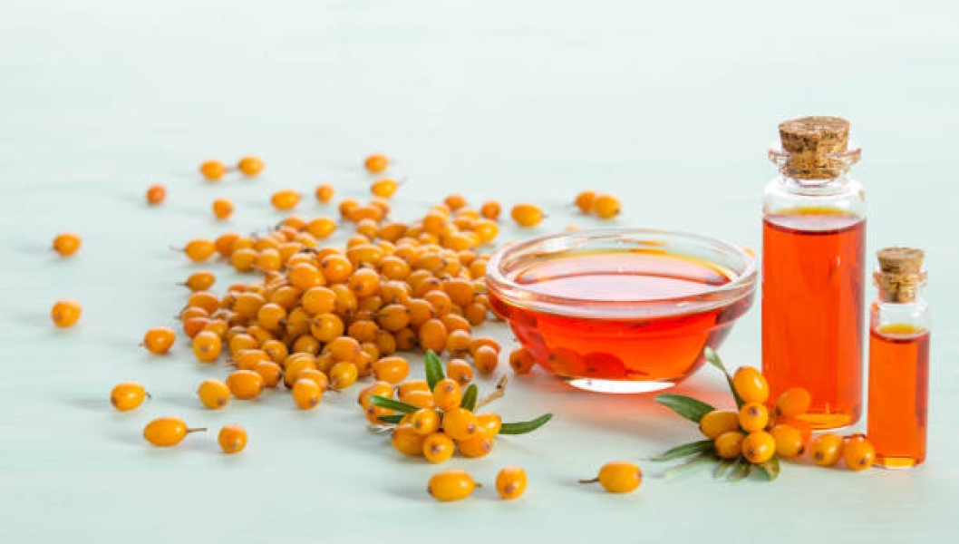 Sea buckthorn oil