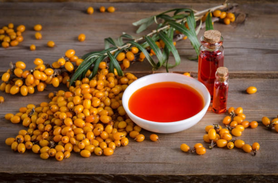 Sea buckthorn oil