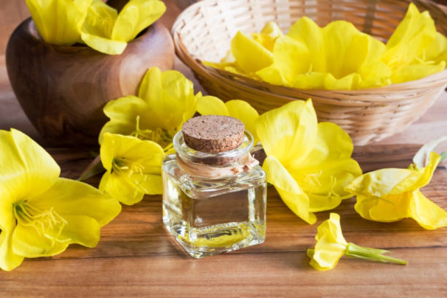 Evening primrose oil