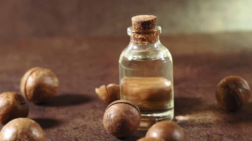 Macadamia oil