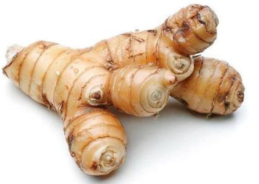 Galangal Oil