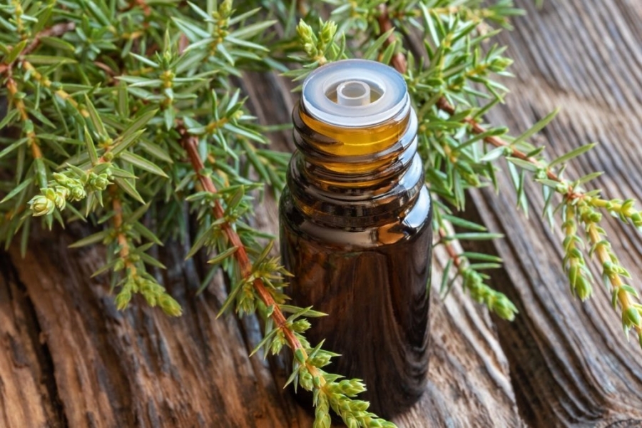 Juniper Leaf Oil