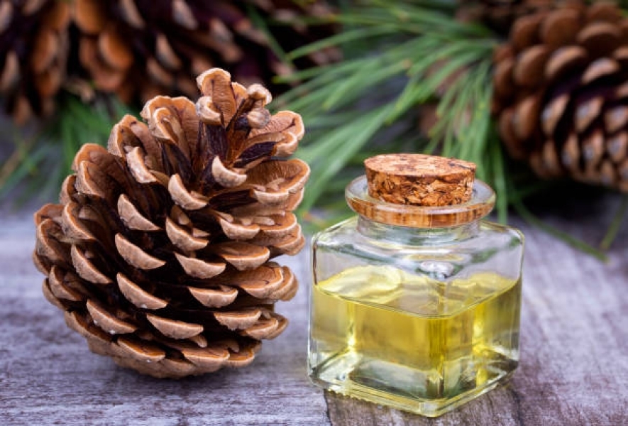 Cedarwood Oil Himalayan