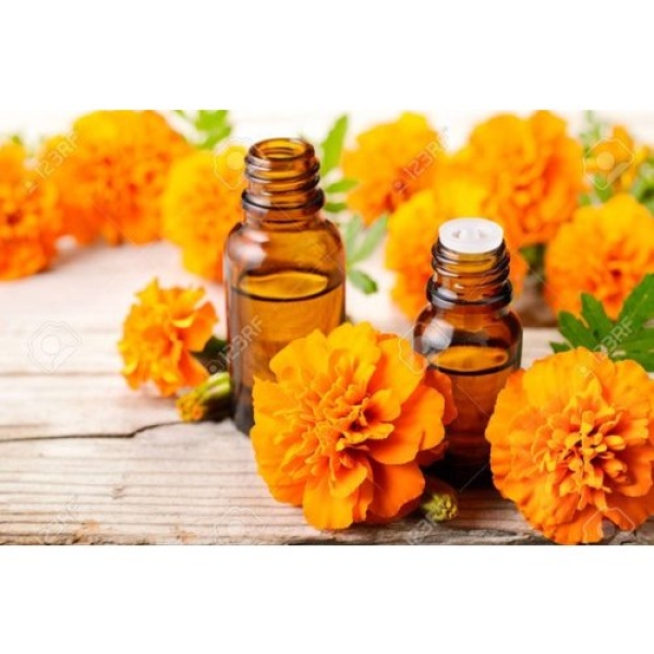 Tagetes Oil