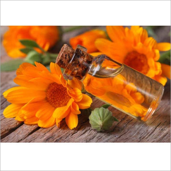 Tagetes Oil
