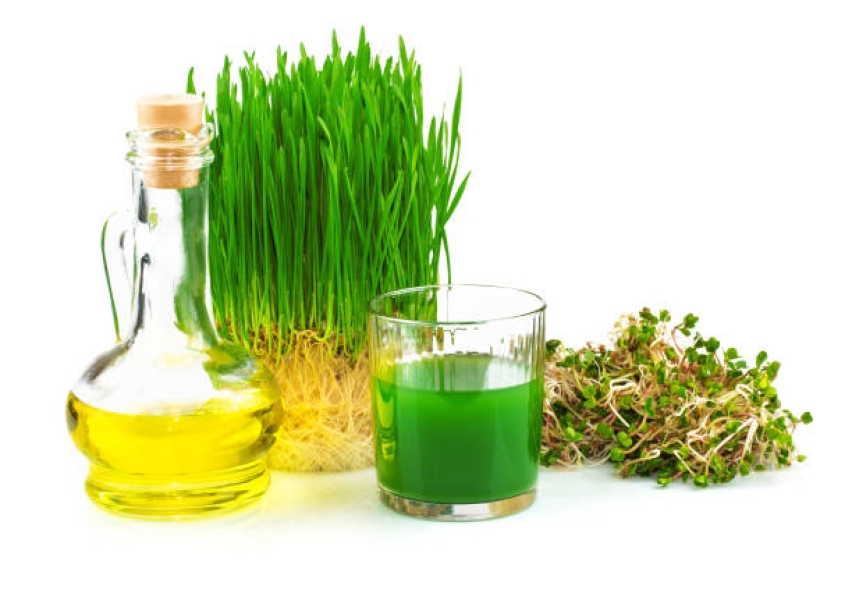 Wheat germ oil