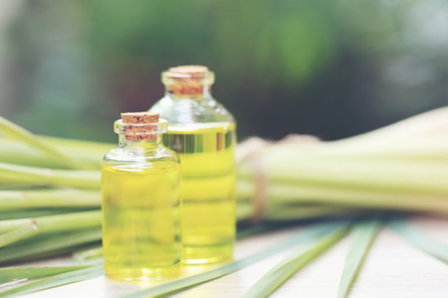 Citronella Oil (Java)