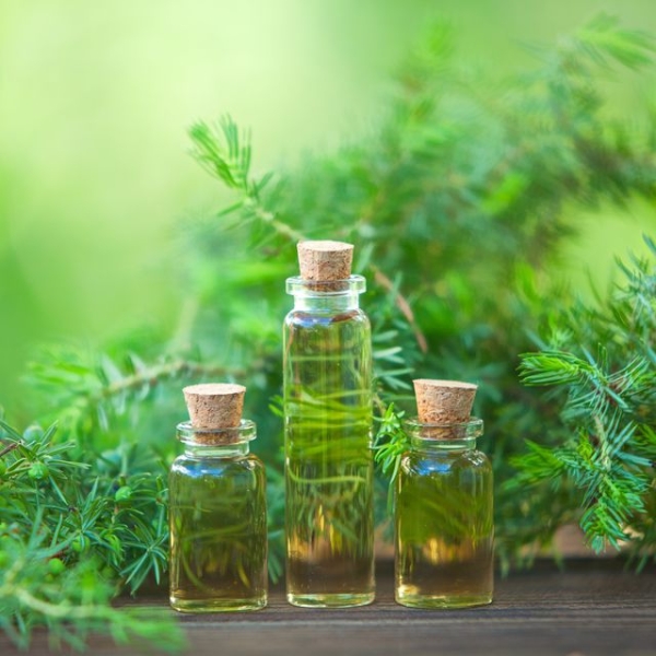Tea Tree Oil