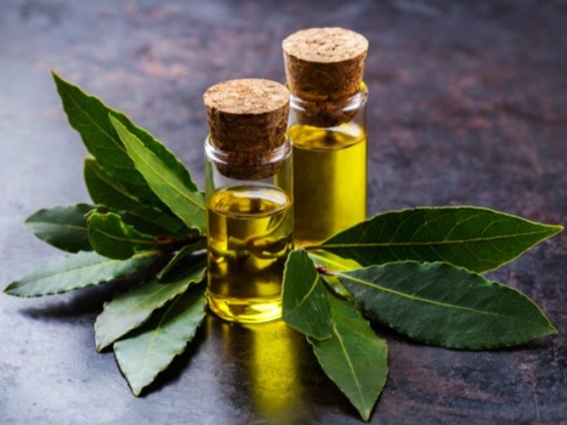 Bay Leaf Oleoresin