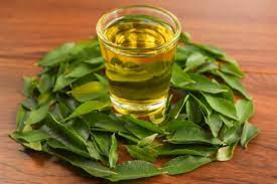 Curry Leaf Oleoresin