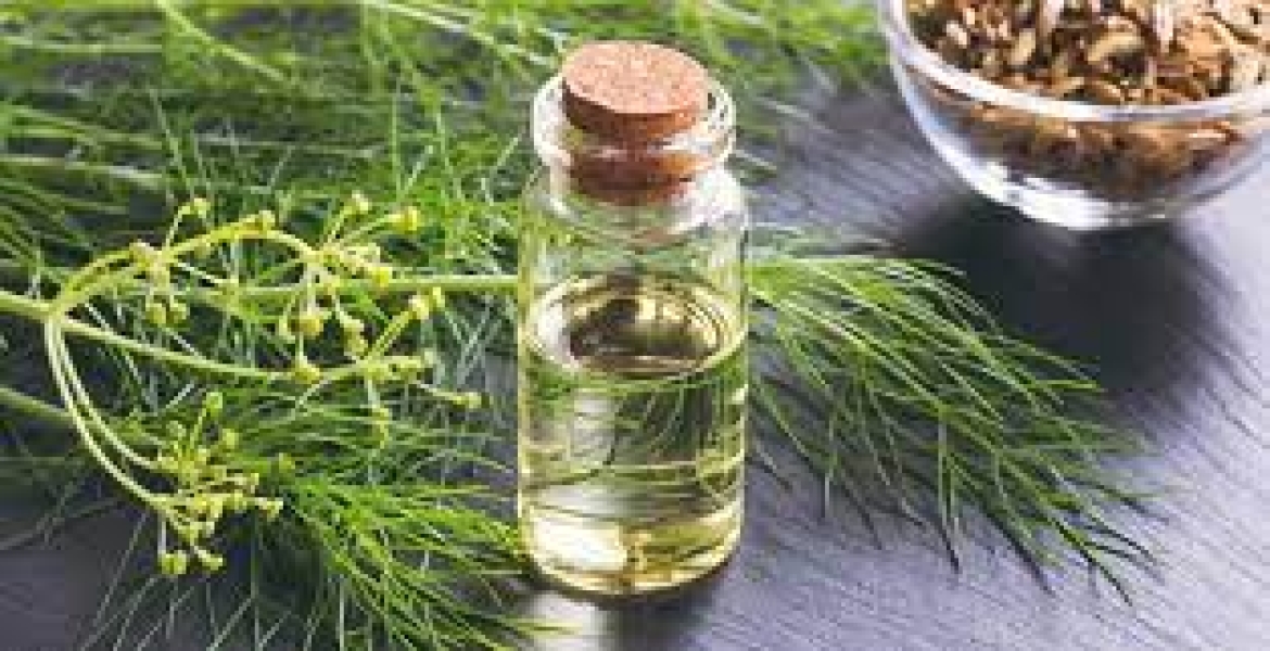Fennel Oleoresin