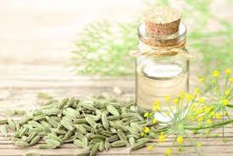 Fennel Oleoresin