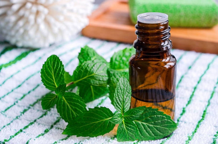 Garden Mint Oleoresin