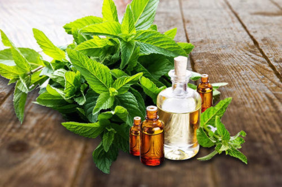 Linalool (Ex. Basil Oil)