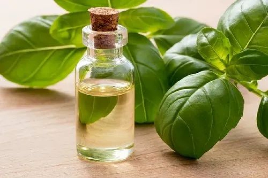 Linalool (Ex. Basil Oil)