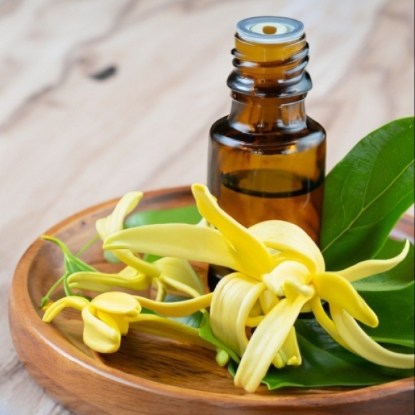 Organic Ylang- Ylang Oil