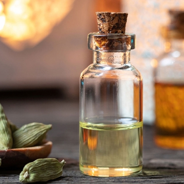 Organic Cardamom Oil