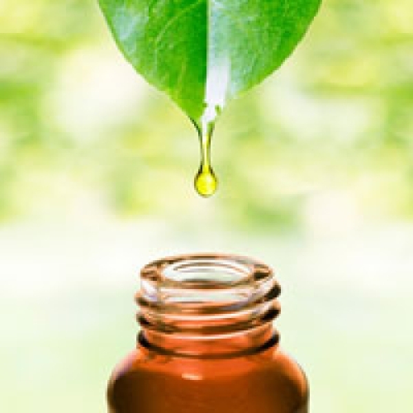 Organic Clove Leaf Oil
