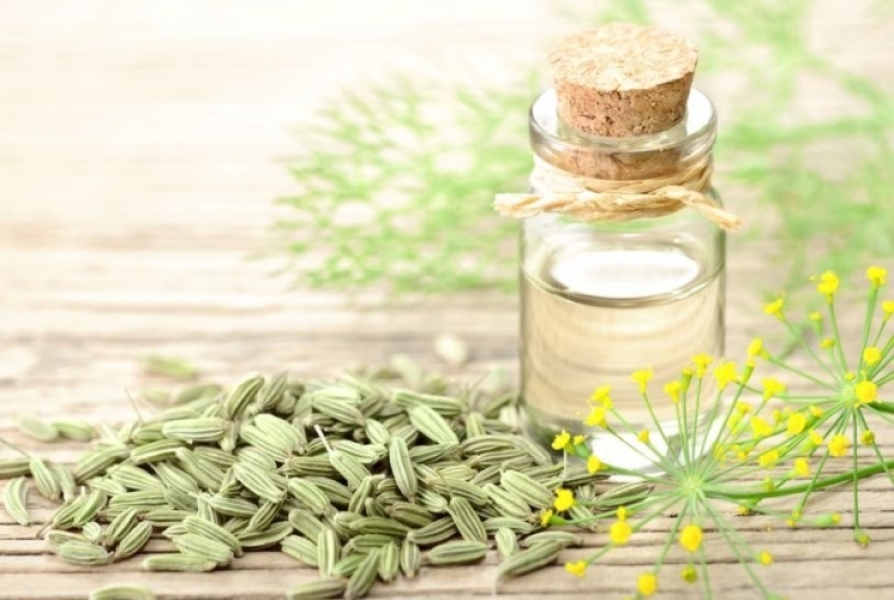Organic Fennel Seed Oil