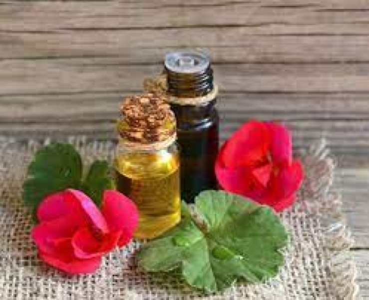 Organic Geranium Oil