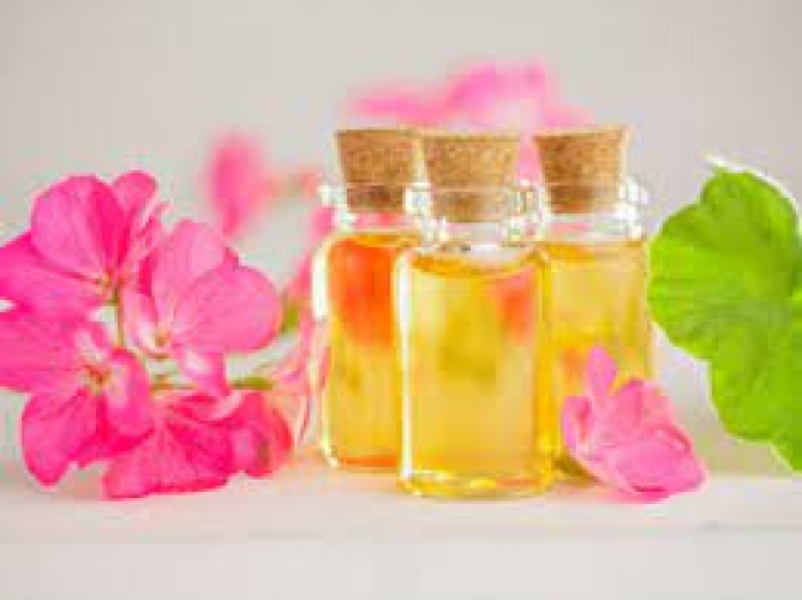 Organic Geranium Oil