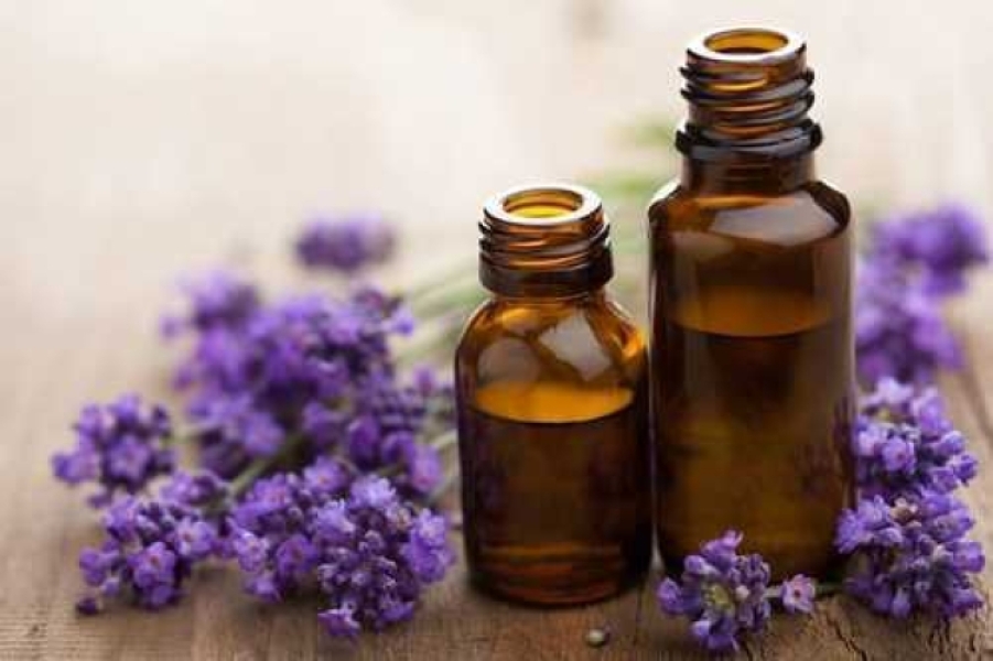 Organic Lavender Oil