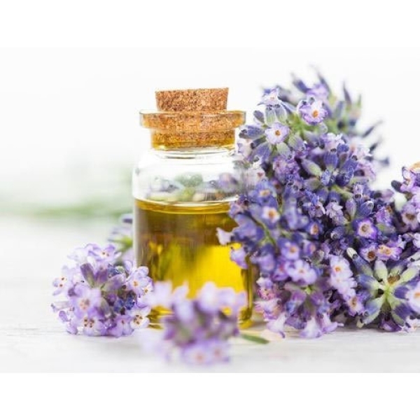 Organic Lavender Oil