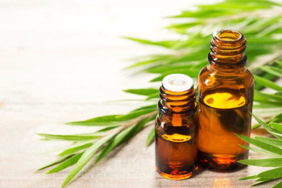 Organic Tea Tree Oil