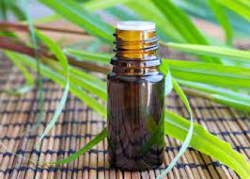 Organic Palmarosa Oil