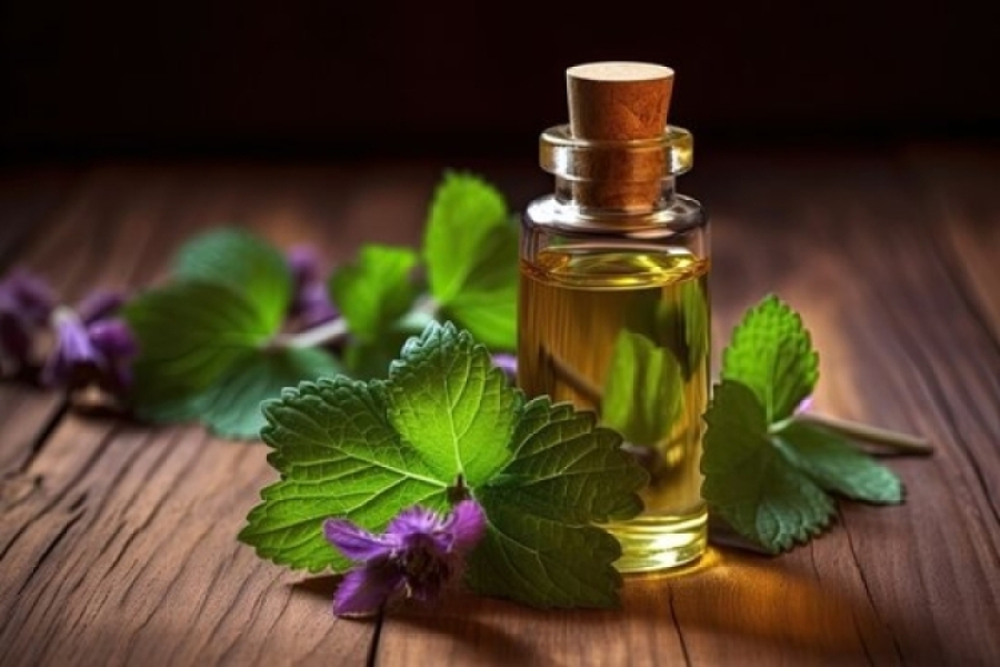 Organic Patchouli Oil