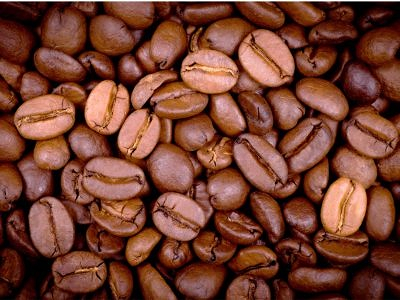 Coffee (arabica) Oil Extract