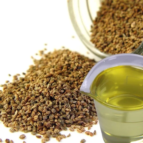 Celery Seed Oil Extract