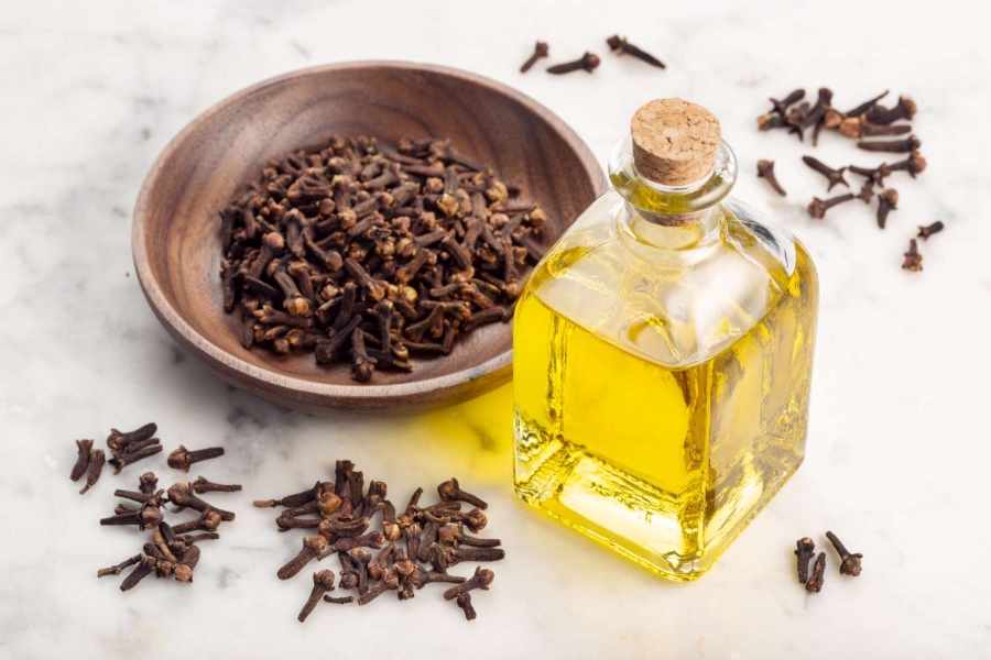 Clove Oil Extract