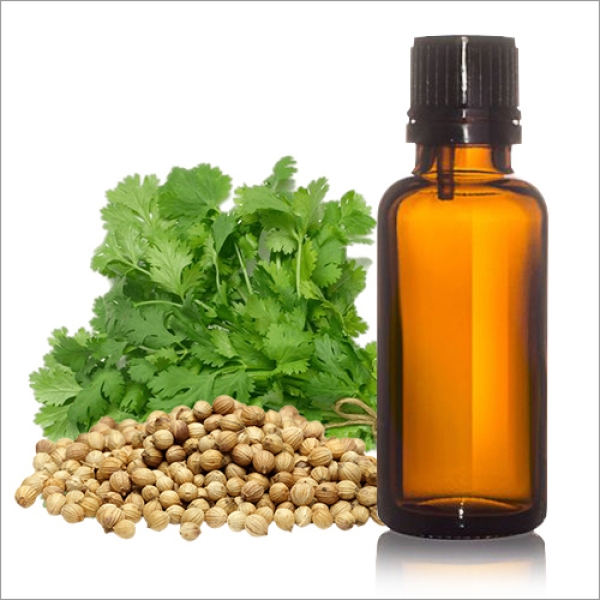 Coriander Extract